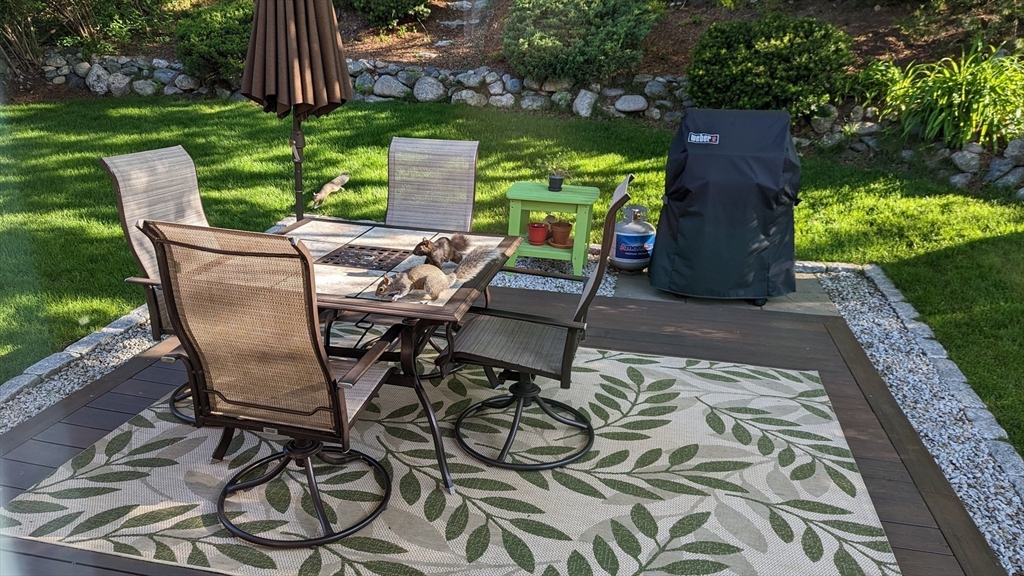 223 Hardy Pond Road Waltham, MA 02451 - Photo 29 of 38 a view of a chairs and table in backyard of the house