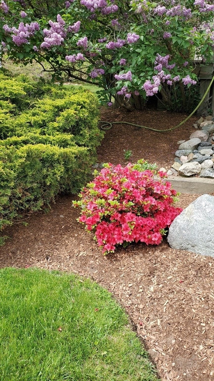 223 Hardy Pond Road Waltham, MA 02451 - Photo 31 of 38 a small garden covered with lots of flower and trees