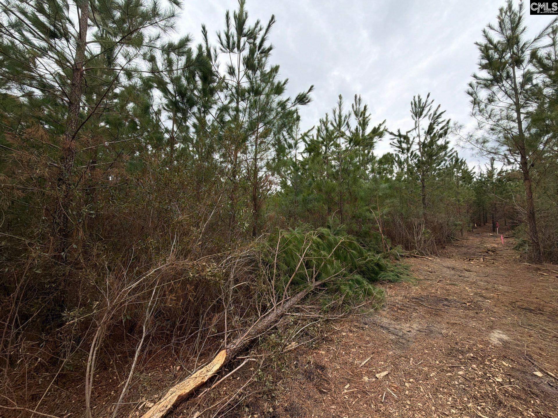 3 Jc Barefoot Road, Unit BFF II 3 Patrick, SC 29584 - Photo 9 of 23