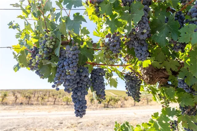 $3,150,000 | 5790 Hog Canyon Road, San Miguel, CA 93451