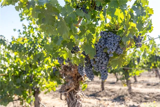 $3,150,000 | 5790 Hog Canyon Road, San Miguel, CA 93451