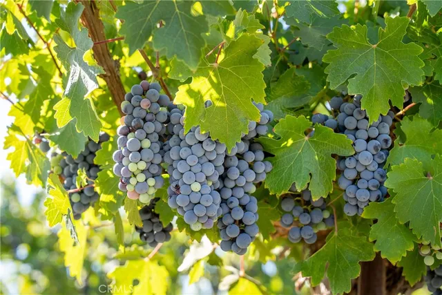 $3,150,000 | 5790 Hog Canyon Road, San Miguel, CA 93451