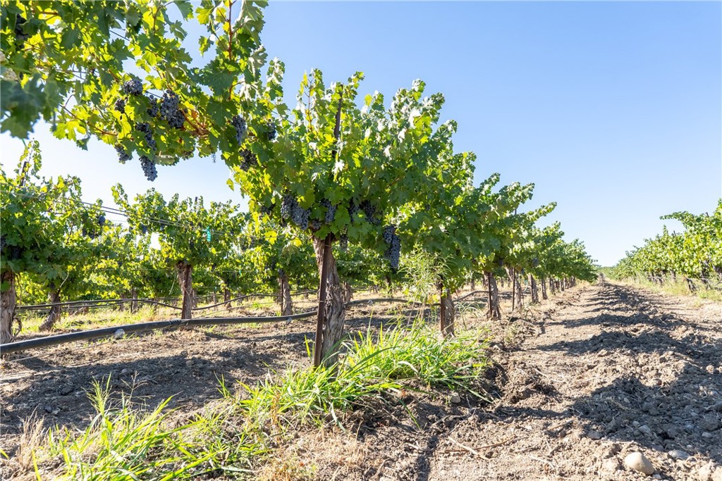 5790 Hog Canyon Road San Miguel, CA 93451 - Photo 28 of 38
