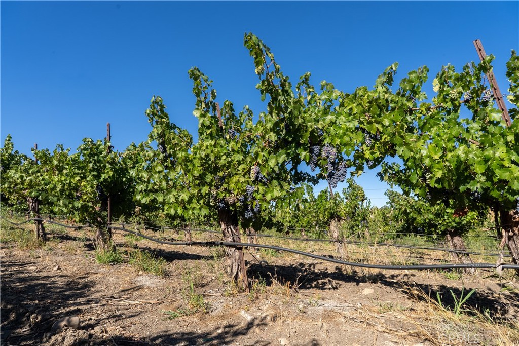 5790 Hog Canyon Road San Miguel, CA 93451 - Photo 29 of 38