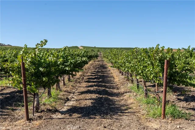 $3,150,000 | 5790 Hog Canyon Road, San Miguel, CA 93451