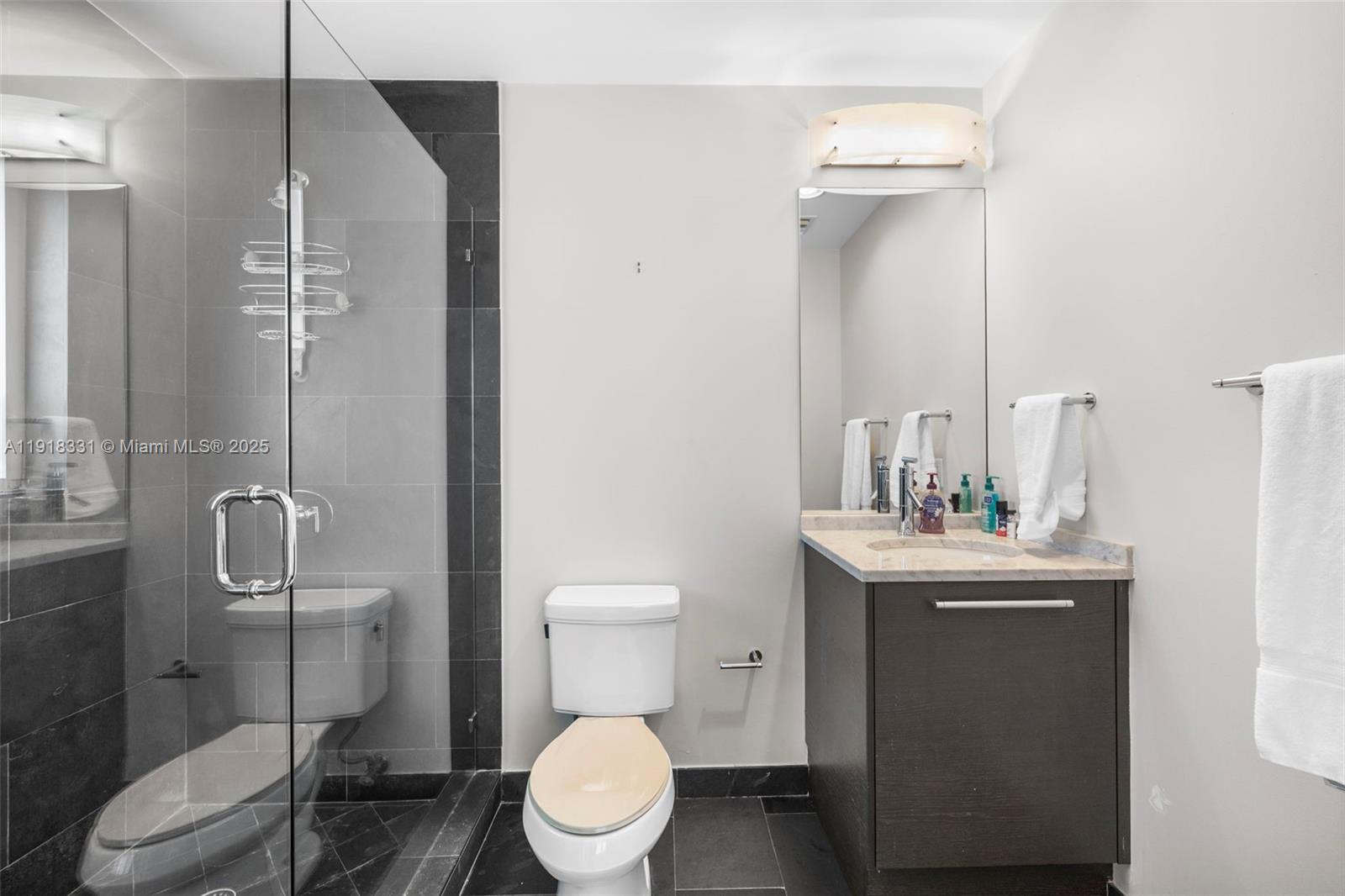 900 Biscayne Boulevard, Unit 2401 Miami, FL 33132 - Photo 21 of 33 a bathroom with a toilet a sink and mirror