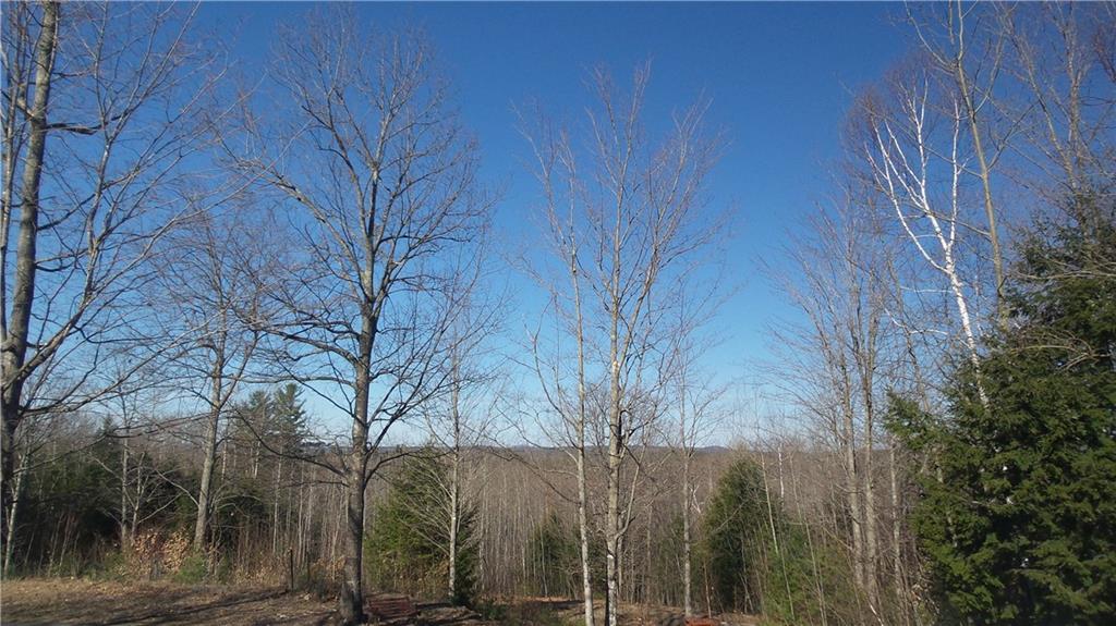 205 Garland Road West Newfield, ME 04095 - Photo 5 of 28 Photo