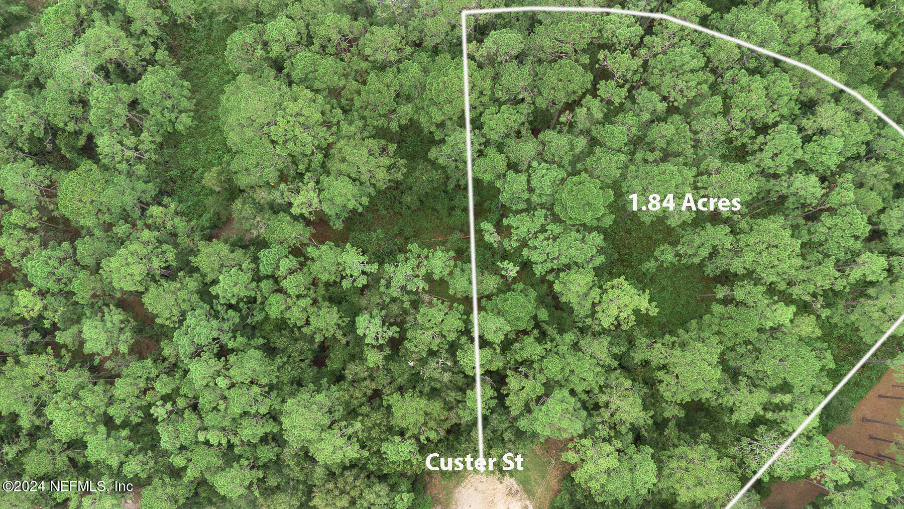 5394 Custer Street Keystone Heights, FL 32656 - Photo 4 of 7 a view of a house with a plant