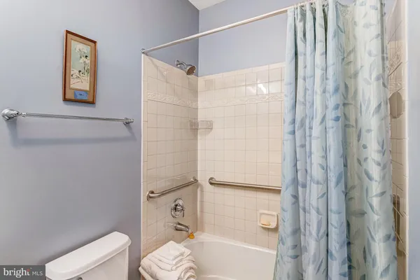 a bathroom with a shower and a toilet