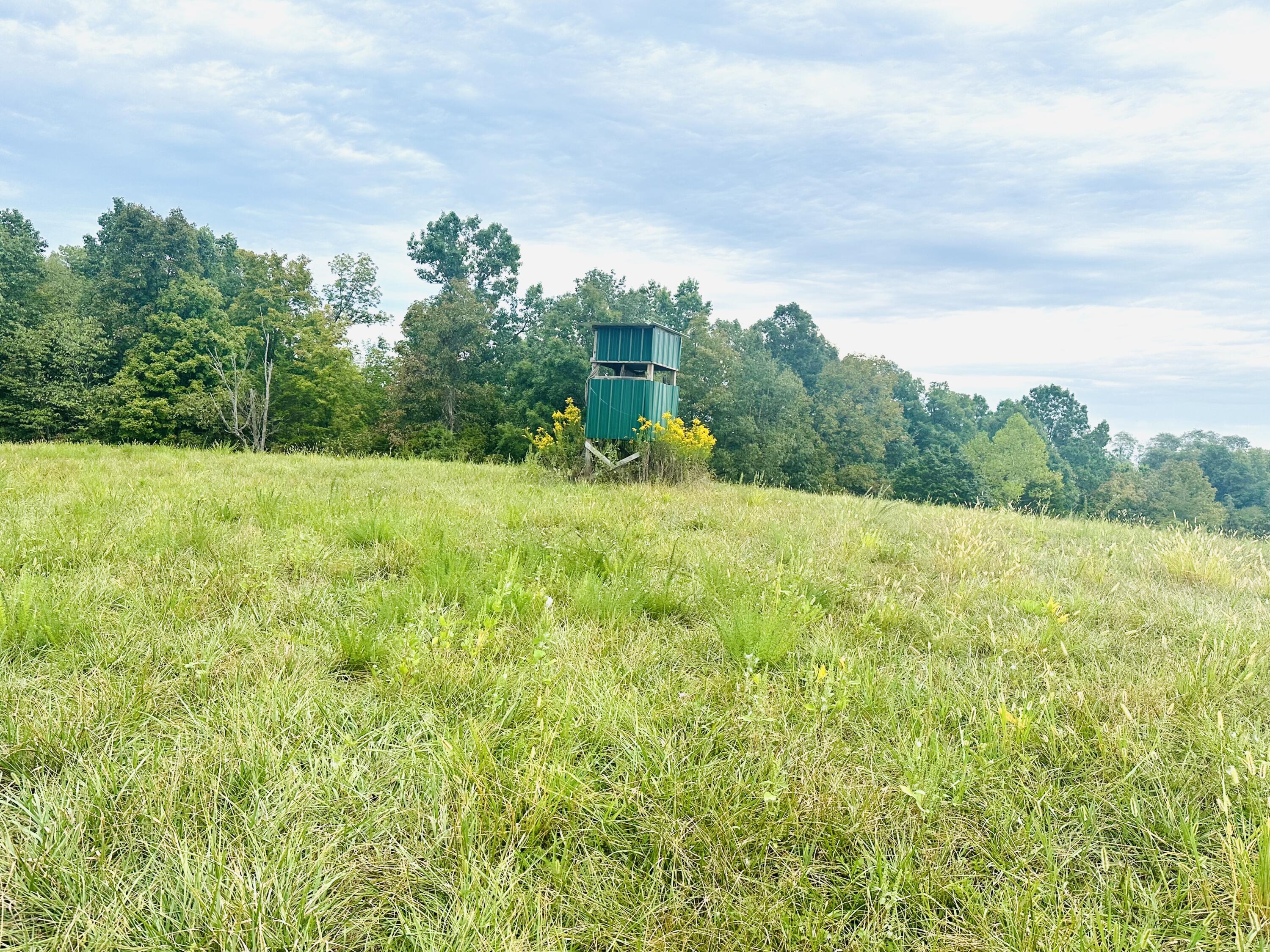 203 Chaplin Road Willisburg, KY 40078 - Photo 72 of 77 IMG_8303