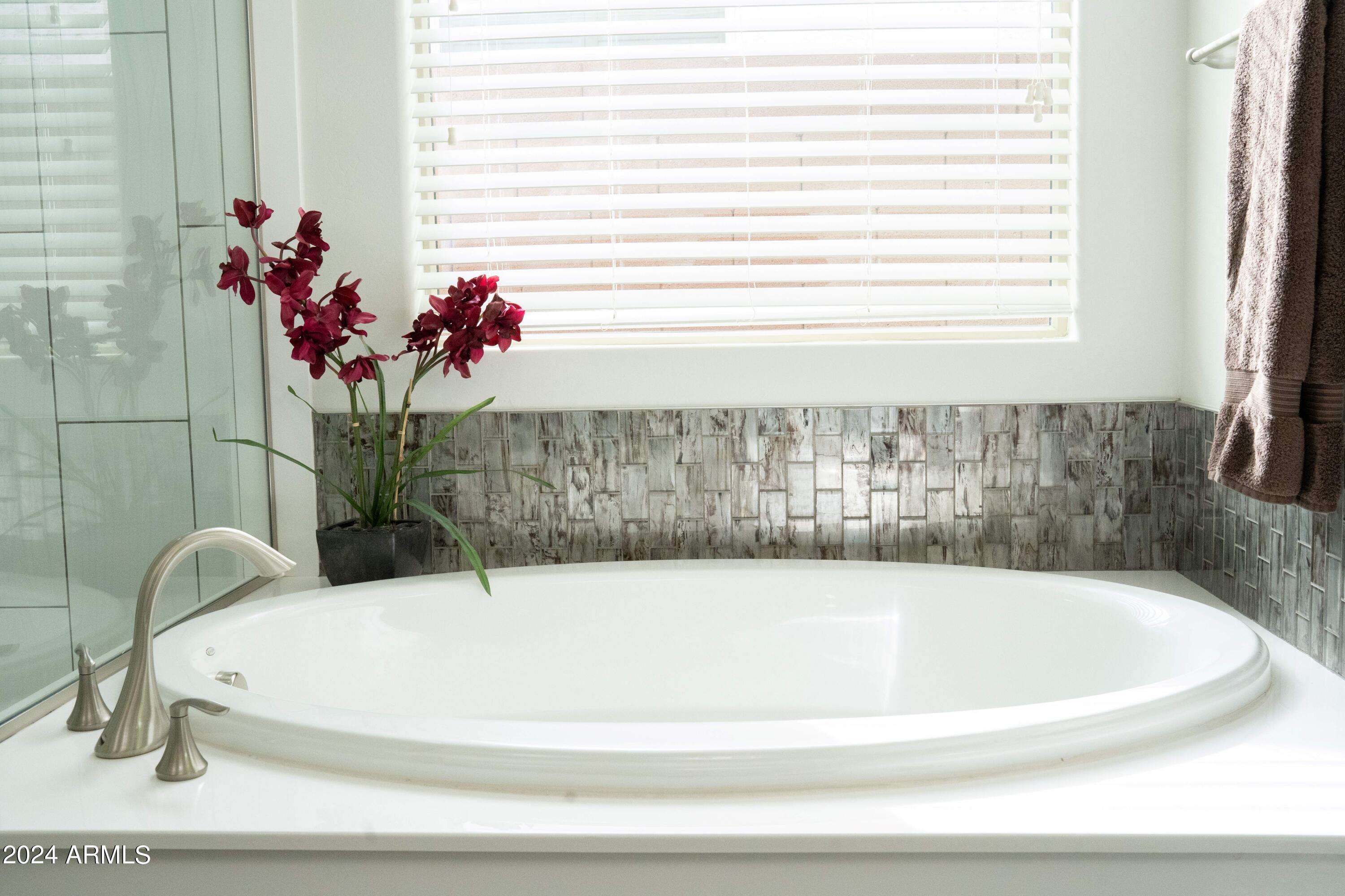 2610 West Royer Road Phoenix, AZ 85085 - Photo 26 of 40 Master Tub