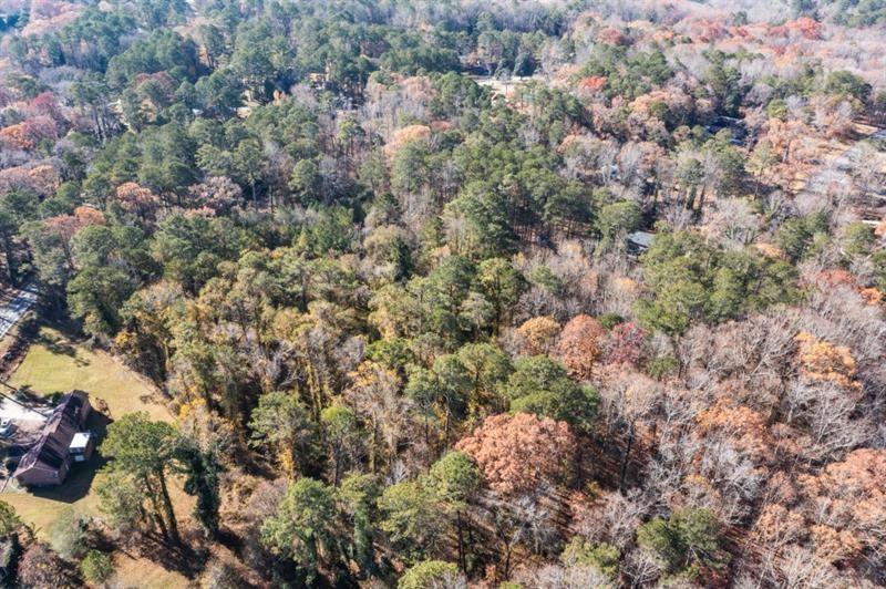 3895 Old Fairburn Road Atlanta, GA 30331 - Photo 11 of 14 a view of a forest with a tree