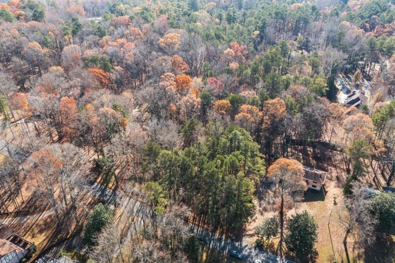 3895 Old Fairburn Road Atlanta, GA 30331 - Photo 3 of 14 a picture of tree