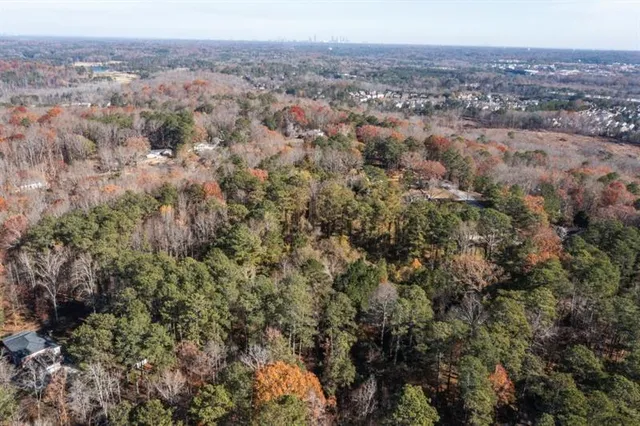a view of a city and bushes