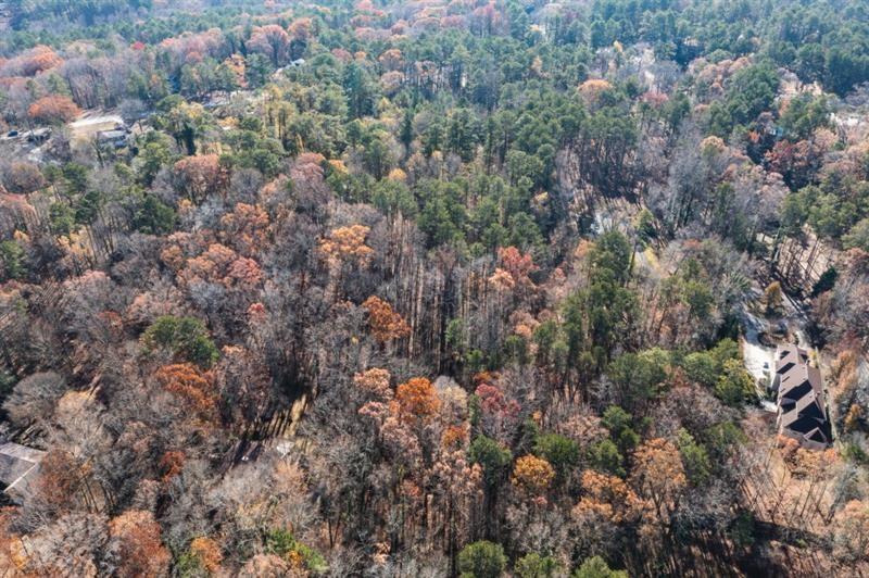 3895 Old Fairburn Road Atlanta, GA 30331 - Photo 8 of 14 a view of a city and bushes
