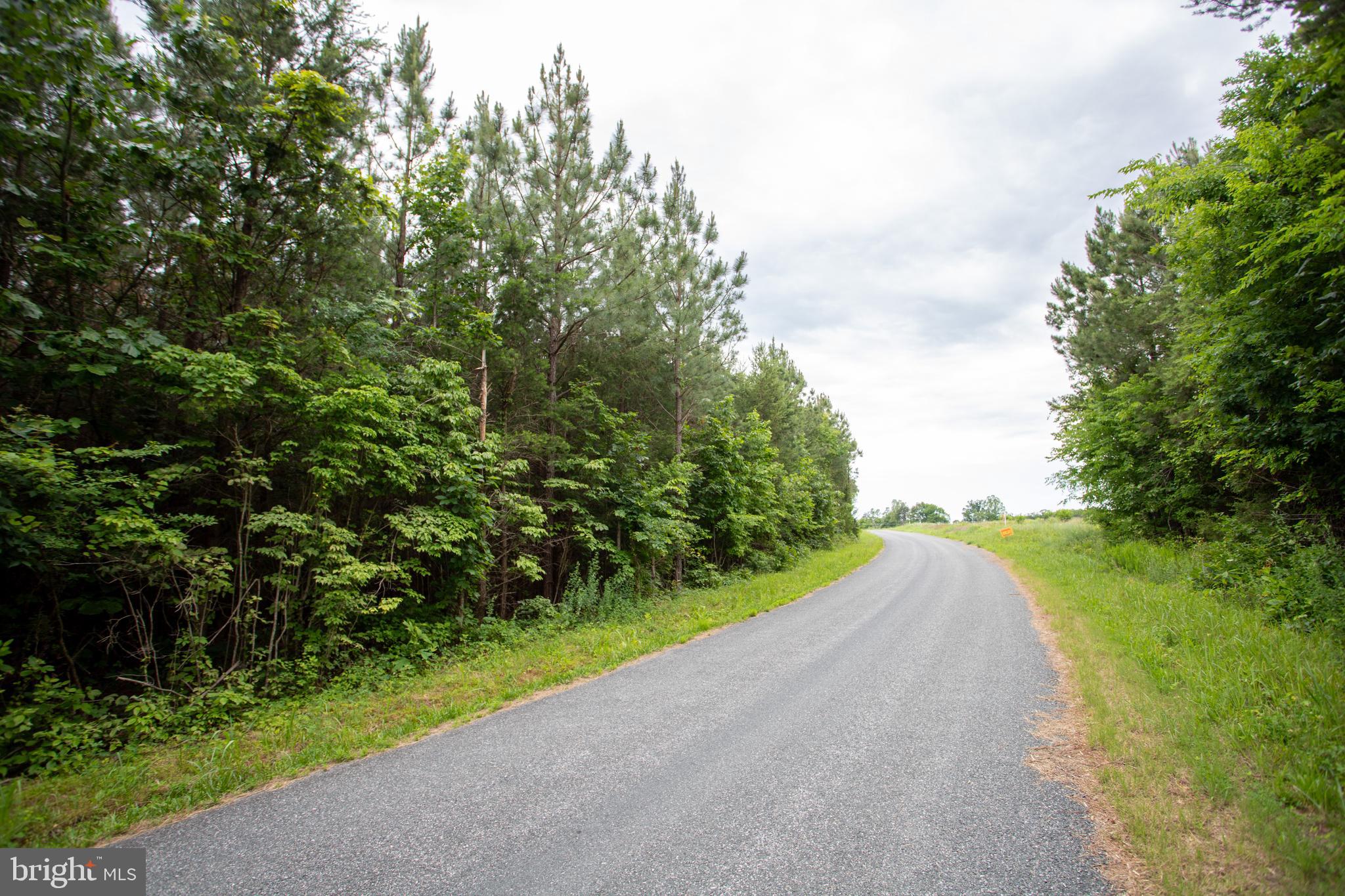 Tbd Trents Cemetery Road, Unit LOT 6 Phenix, VA 23959 - Photo 6 of 19