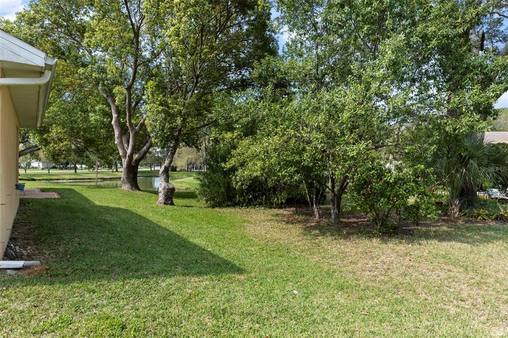 3047 Rippling Brook Way Spring Hill, FL 34606 - Photo 36 of 54