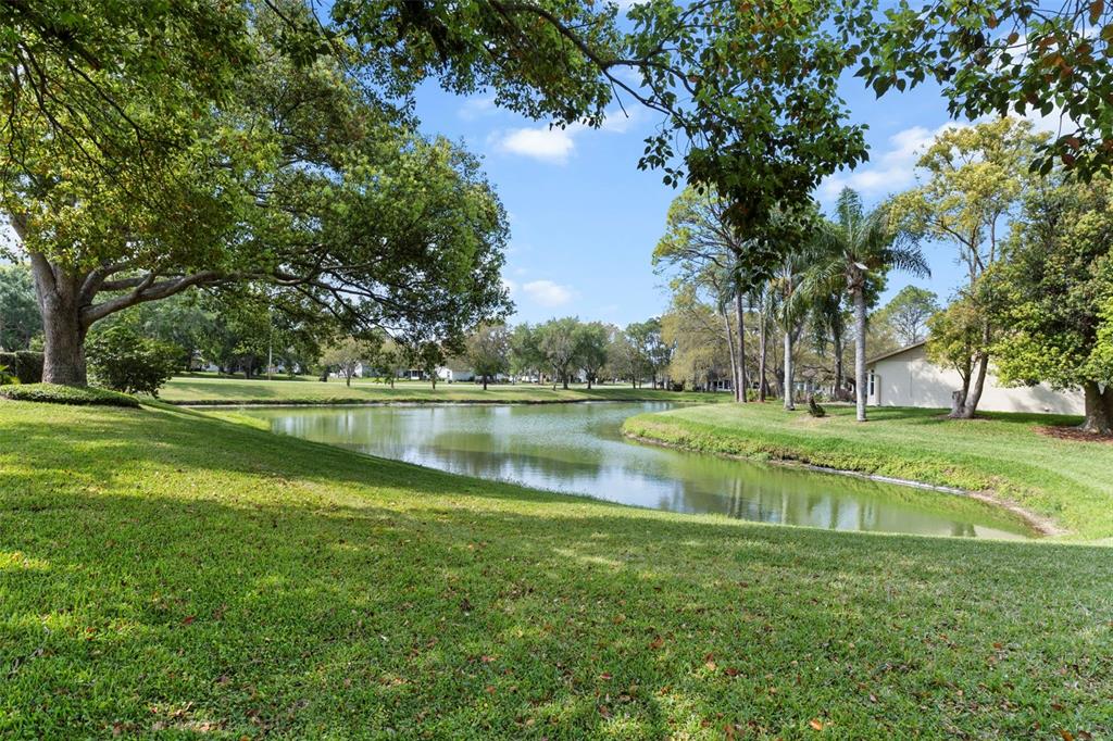 3047 Rippling Brook Way Spring Hill, FL 34606 - Photo 37 of 54