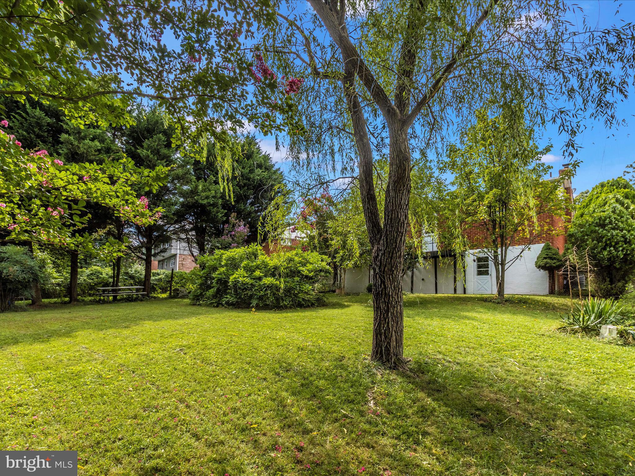 240 Hannes Street Silver Spring, MD 20901 - Photo 50 of 51 Backyard
