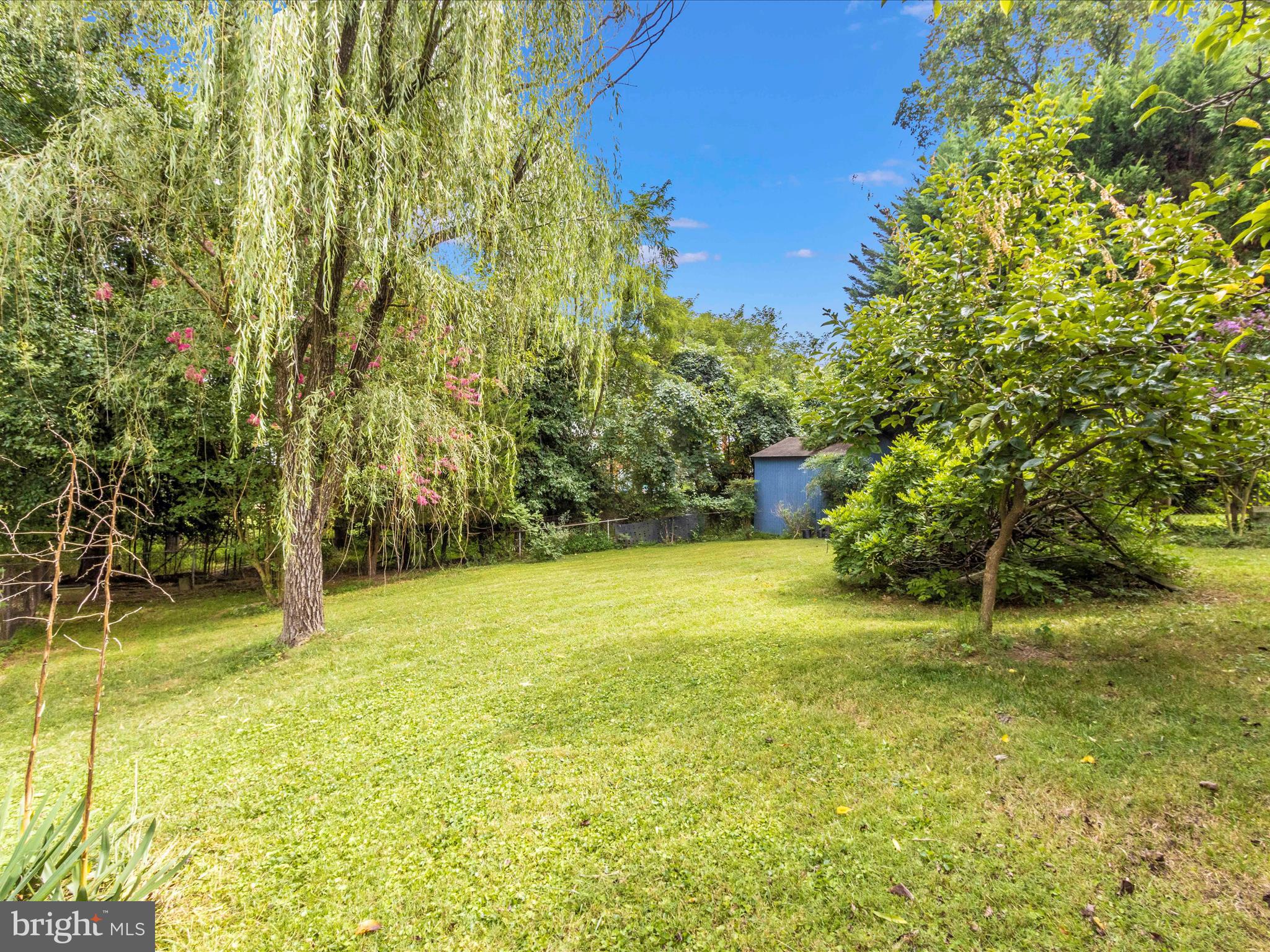 240 Hannes Street Silver Spring, MD 20901 - Photo 51 of 51 Backyard