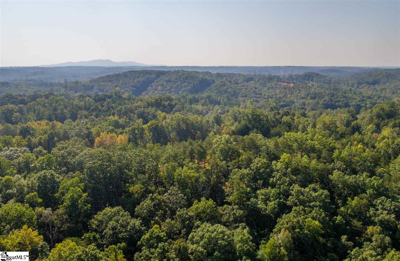 Sawblade Ridge Marietta, SC 29661 - Photo 2 of 3 Gallery Image 2