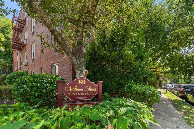 a view of a garden with a fountain