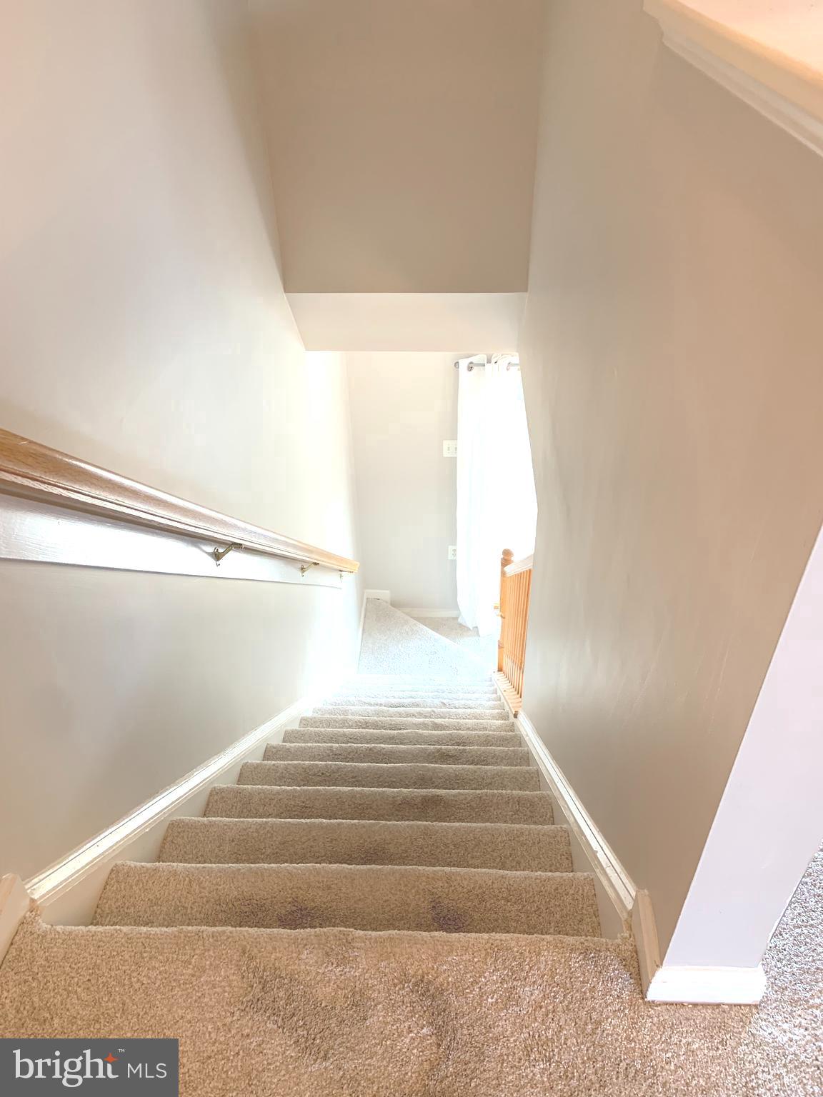 148 Harpers Way Frederick, MD 21702 - Photo 29 of 32 New Carpet