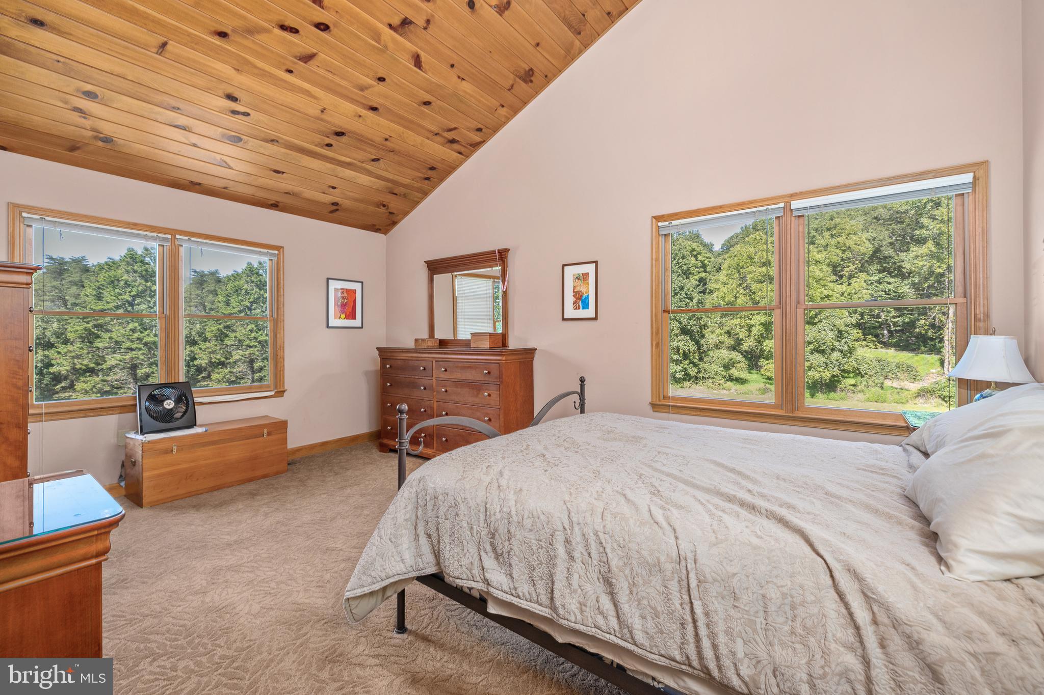 265 Castleton View Road Castleton, VA 22716 - Photo 17 of 36 Master Bedroom with Blue Ridge Views