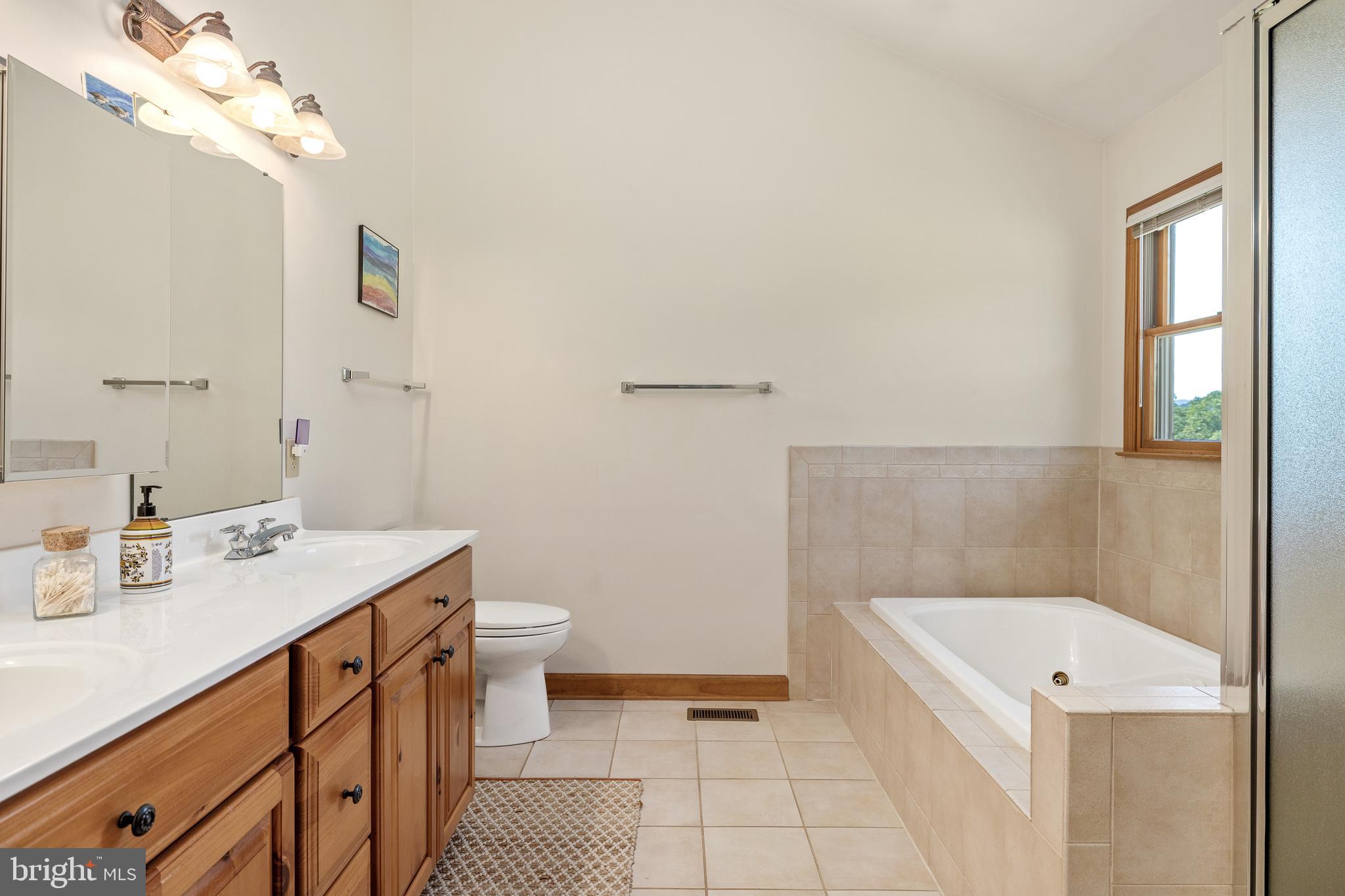 265 Castleton View Road Castleton, VA 22716 - Photo 19 of 36 Master Bathroom with Jetted Tub