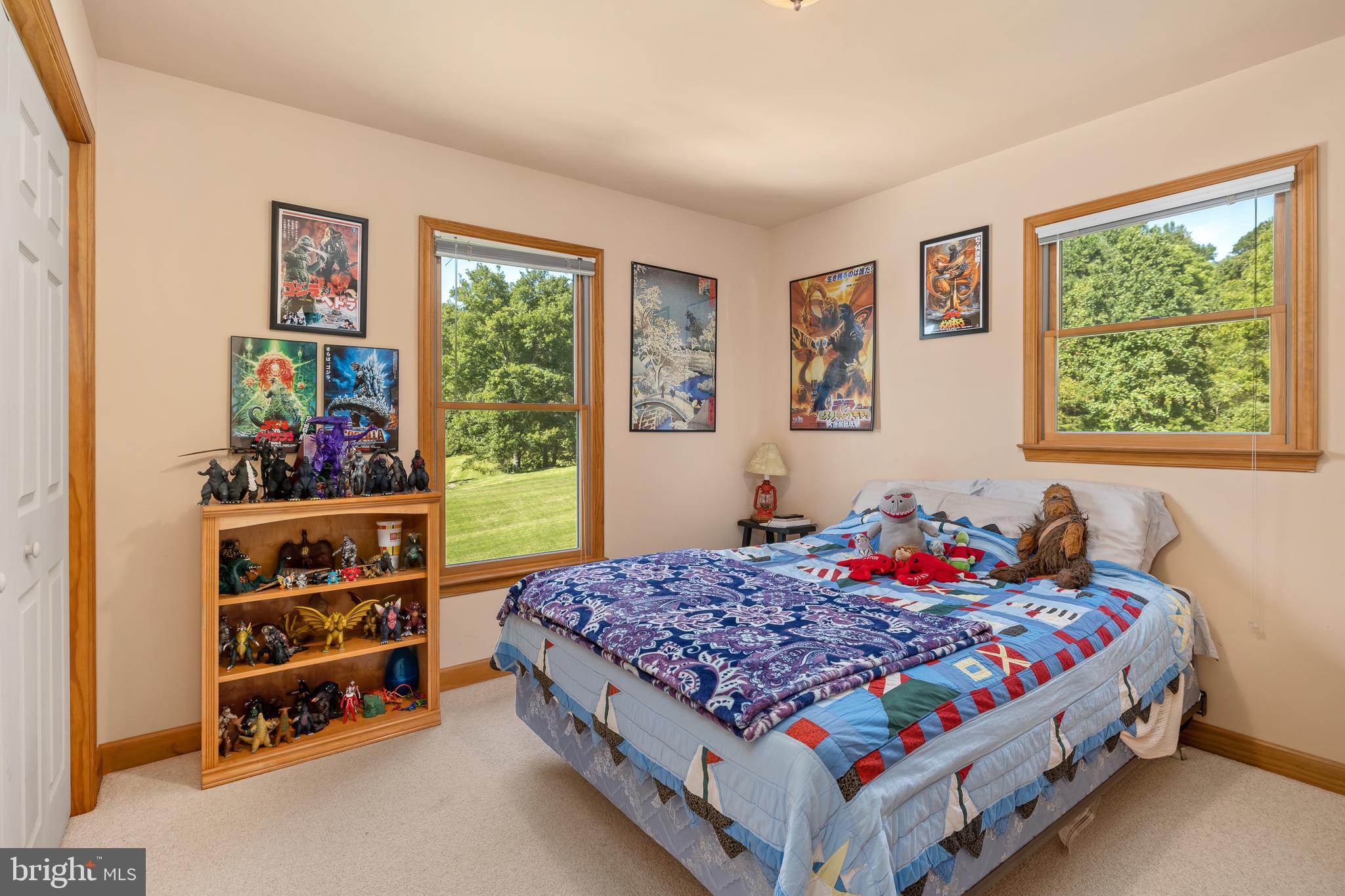 265 Castleton View Road Castleton, VA 22716 - Photo 21 of 36 Bedroom #2 on Main Level
