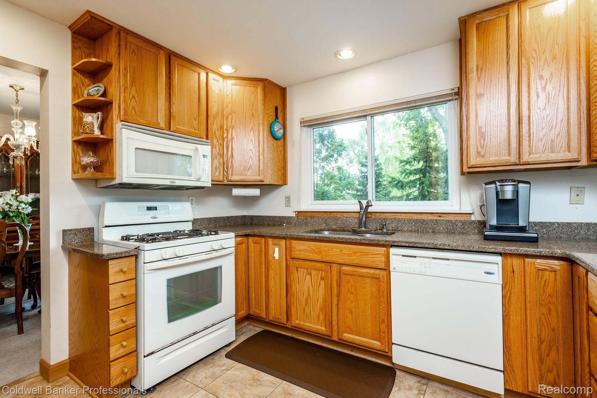 40487 Village Wood Road Novi, MI 48375 - Photo 19 of 46 40487 Village Wood S029.jpg