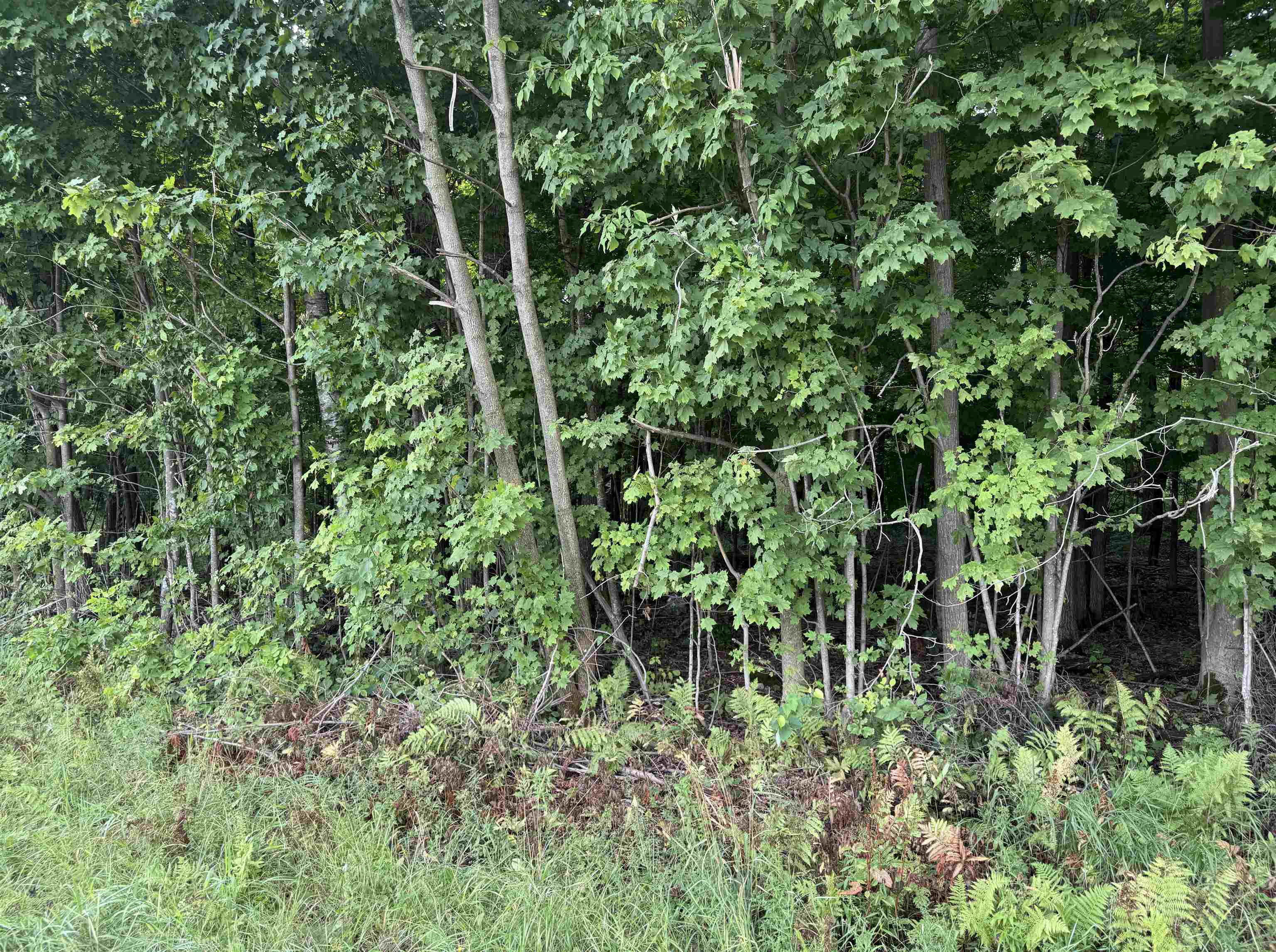 Lot 14 Burma Road Mosinee, WI 54455 - Photo 5 of 7 Gallery Image 5