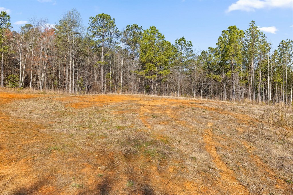 3 Carver Mill Road Jasper, GA 30143 - Photo 13 of 46 Gallery Image 13