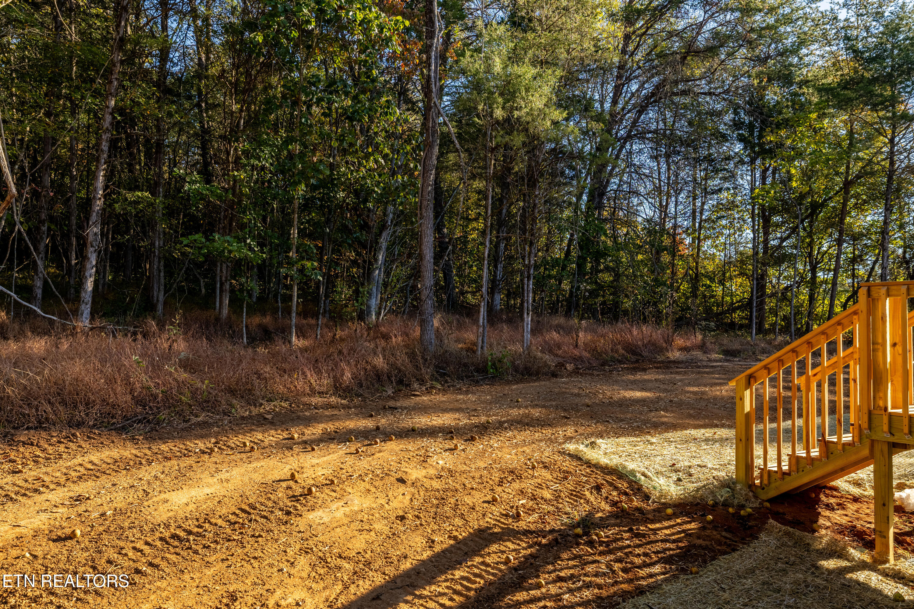 1728 Cooper Road Knoxville, TN 37914 - Photo 37 of 54 1728CooperRd-37