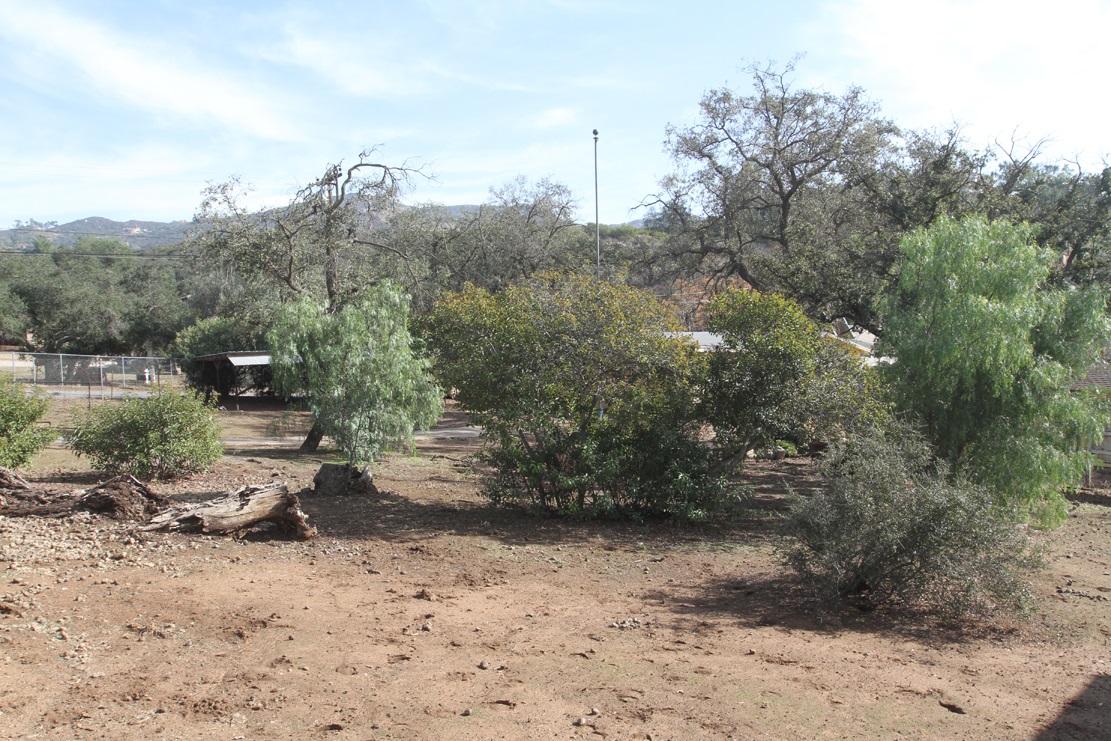 14703 Lyons Valley Road Jamul, CA 91935 - Photo 6 of 20 Gallery Image 6