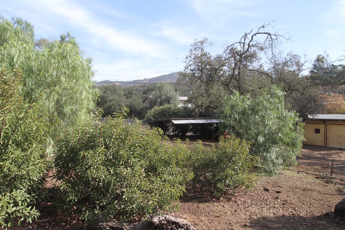 14703 Lyons Valley Road Jamul, CA 91935 - Photo 7 of 20 Gallery Image 7
