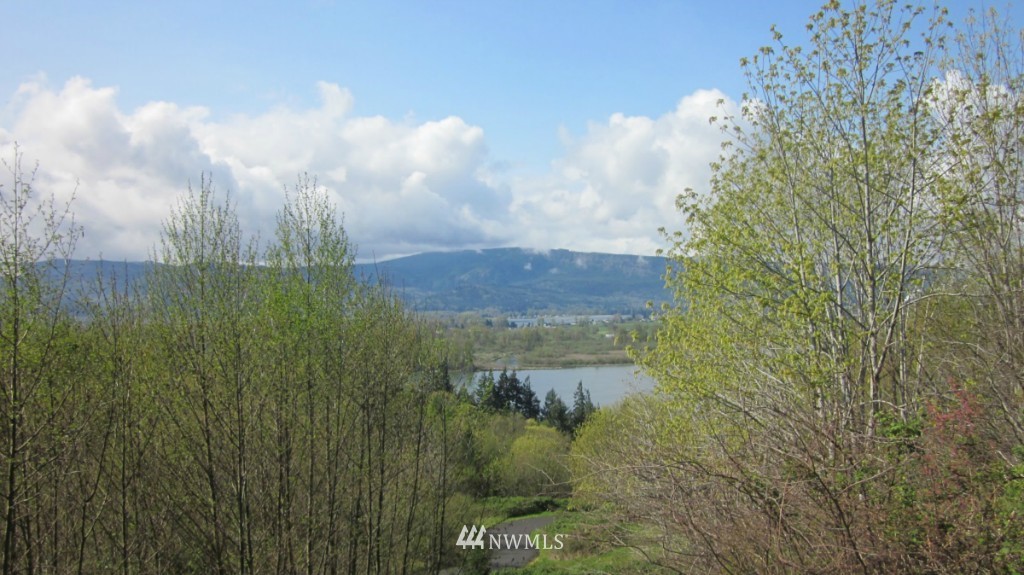 16 Maple Ridge Road Cathlamet, WA 98612 - Photo 15 of 22 Gallery Image 15