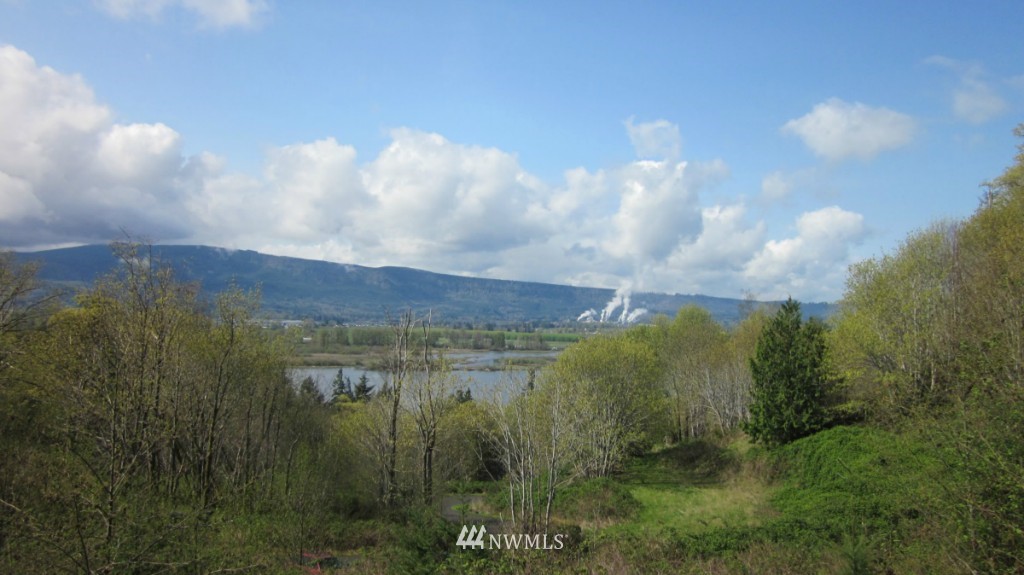 16 Maple Ridge Road Cathlamet, WA 98612 - Photo 3 of 22 Gallery Image 3