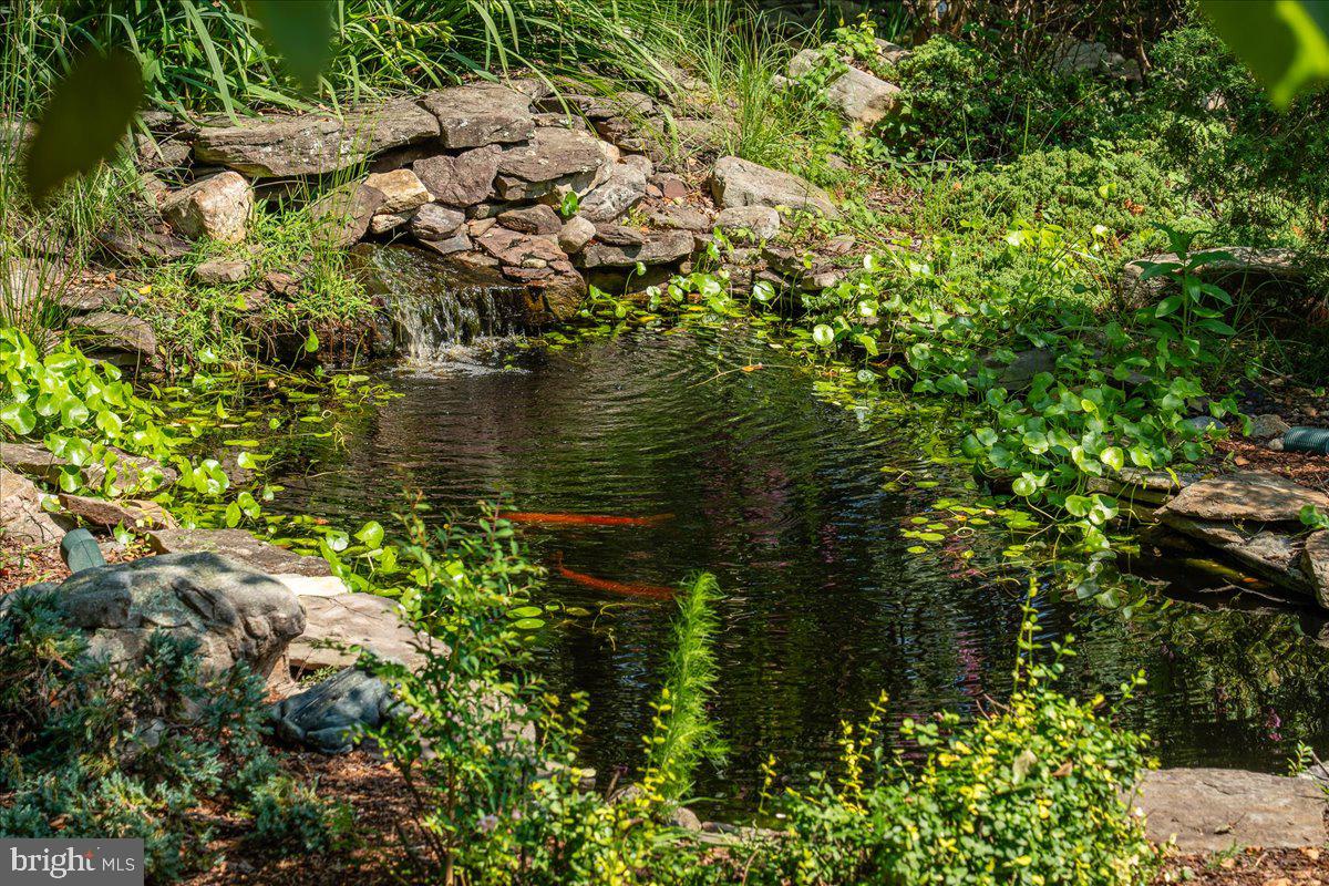 15497 Ridge Road King George, VA 22485 - Photo 80 of 108 An Abundance of Large Koi Fish