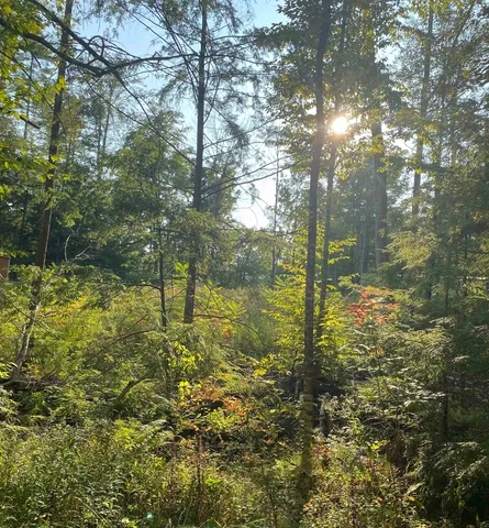 $60,000 | 17 Autumn Road, Hillsborough, NH 03244