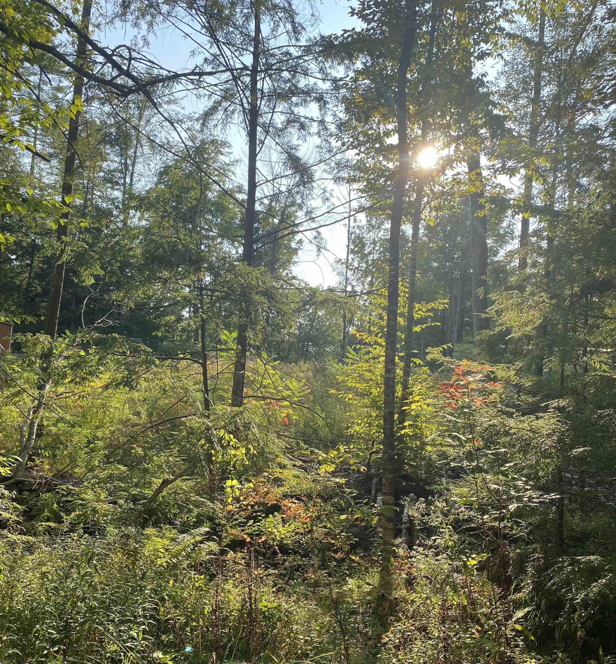 17 Autumn Road Hillsborough, NH 03244 - Photo 2 of 5