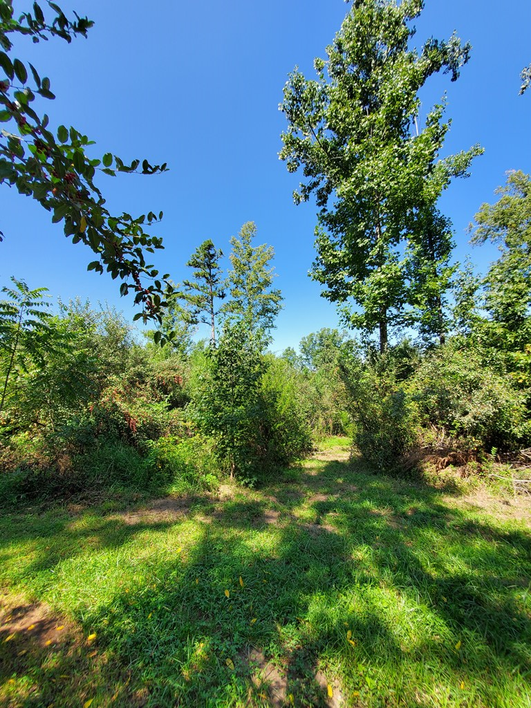 2811 Meherrin Road Meherrin, VA 23954 - Photo 52 of 66 Gallery Image 52