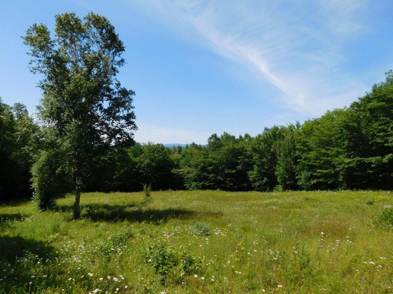 0 Mill Privilege Road Carroll Plt, ME 04487 - Photo 11 of 32 20230917135331361954000000-o