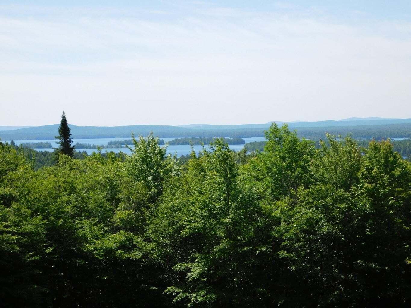 0 Mill Privilege Road Carroll Plt, ME 04487 - Photo 8 of 32 20230917135345246418000000-o