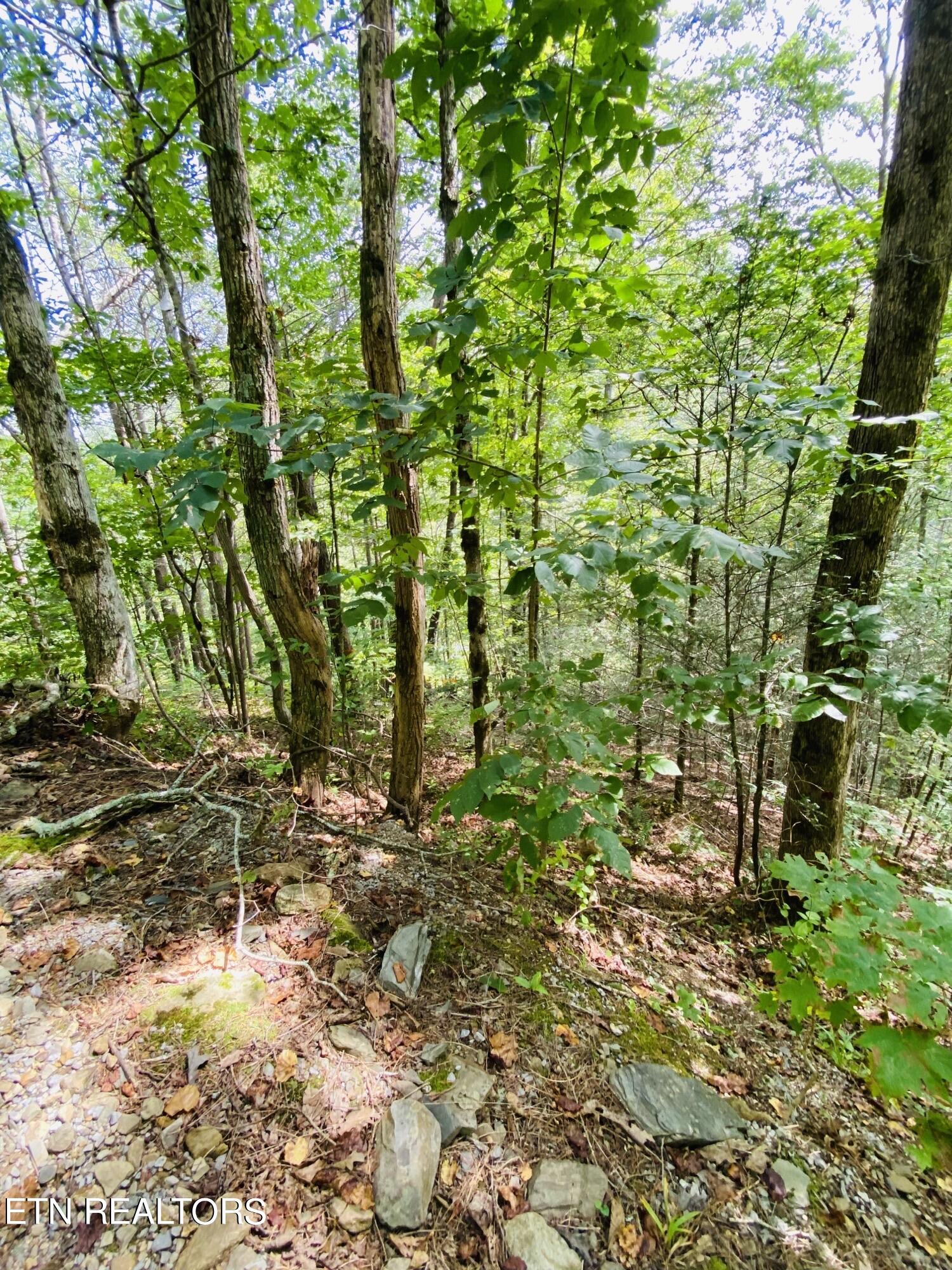 Lot 18 Meadow View Road Sevierville, TN 37862 - Photo 4 of 7 Image (94)