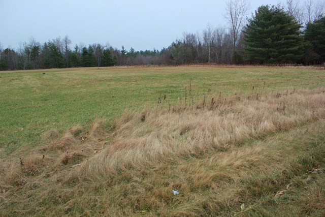 0 Irish Settlement Road Plattsburgh, NY 12901 - Photo 5 of 5 Gallery Image 5