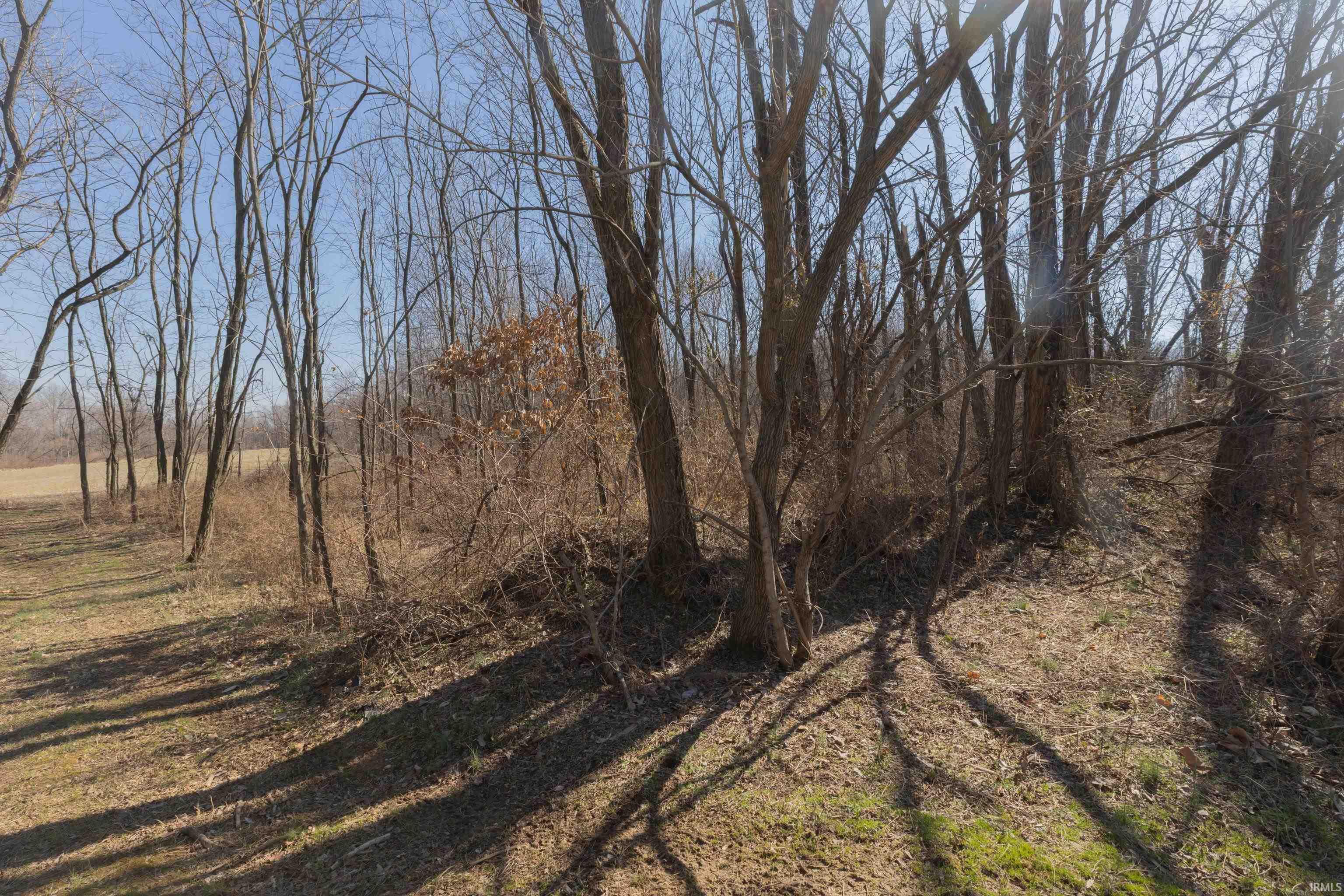 644 North Stevenson Station Road Chandler, IN 47610 - Photo 3 of 26