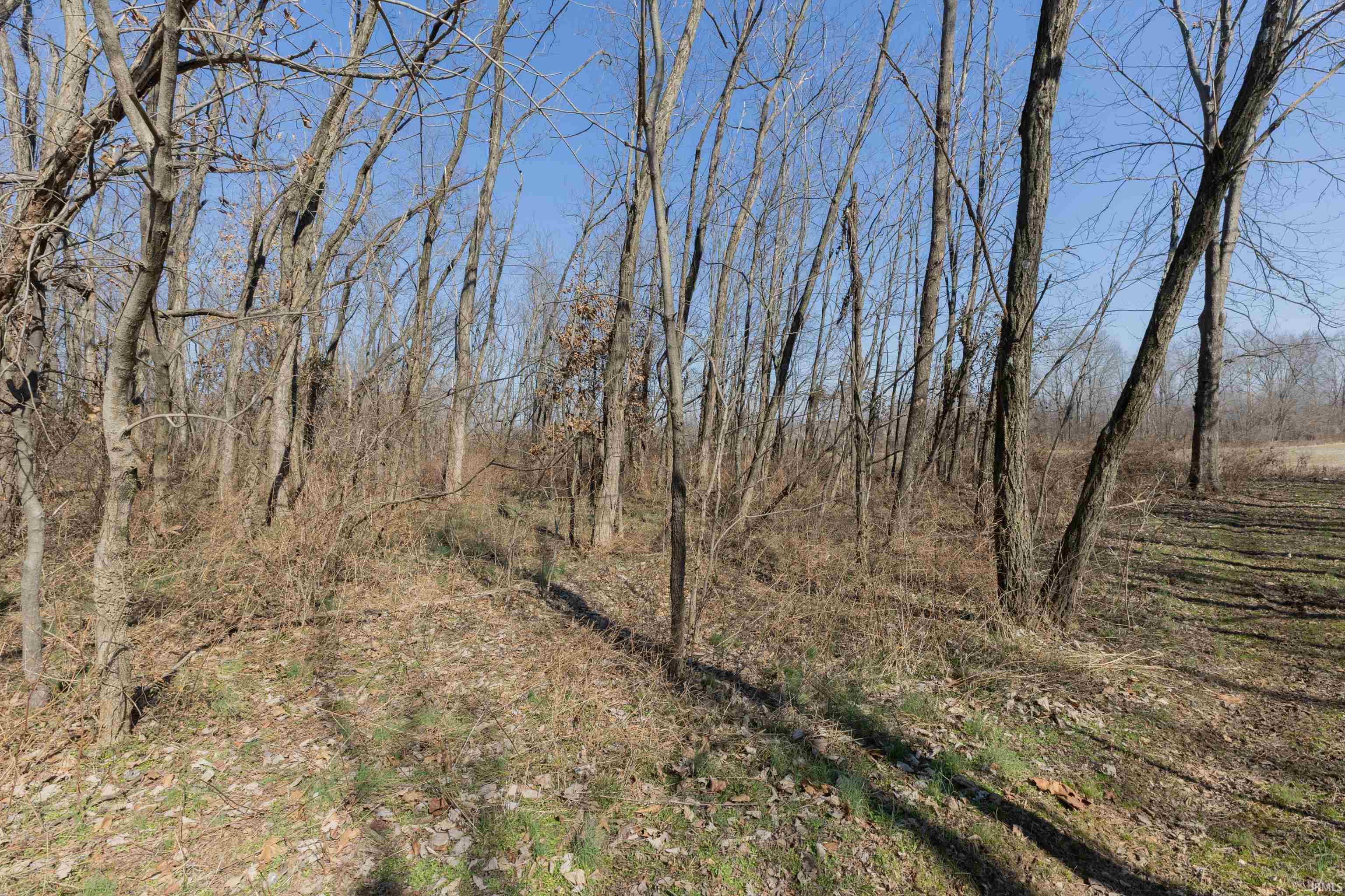 644 North Stevenson Station Road Chandler, IN 47610 - Photo 4 of 26