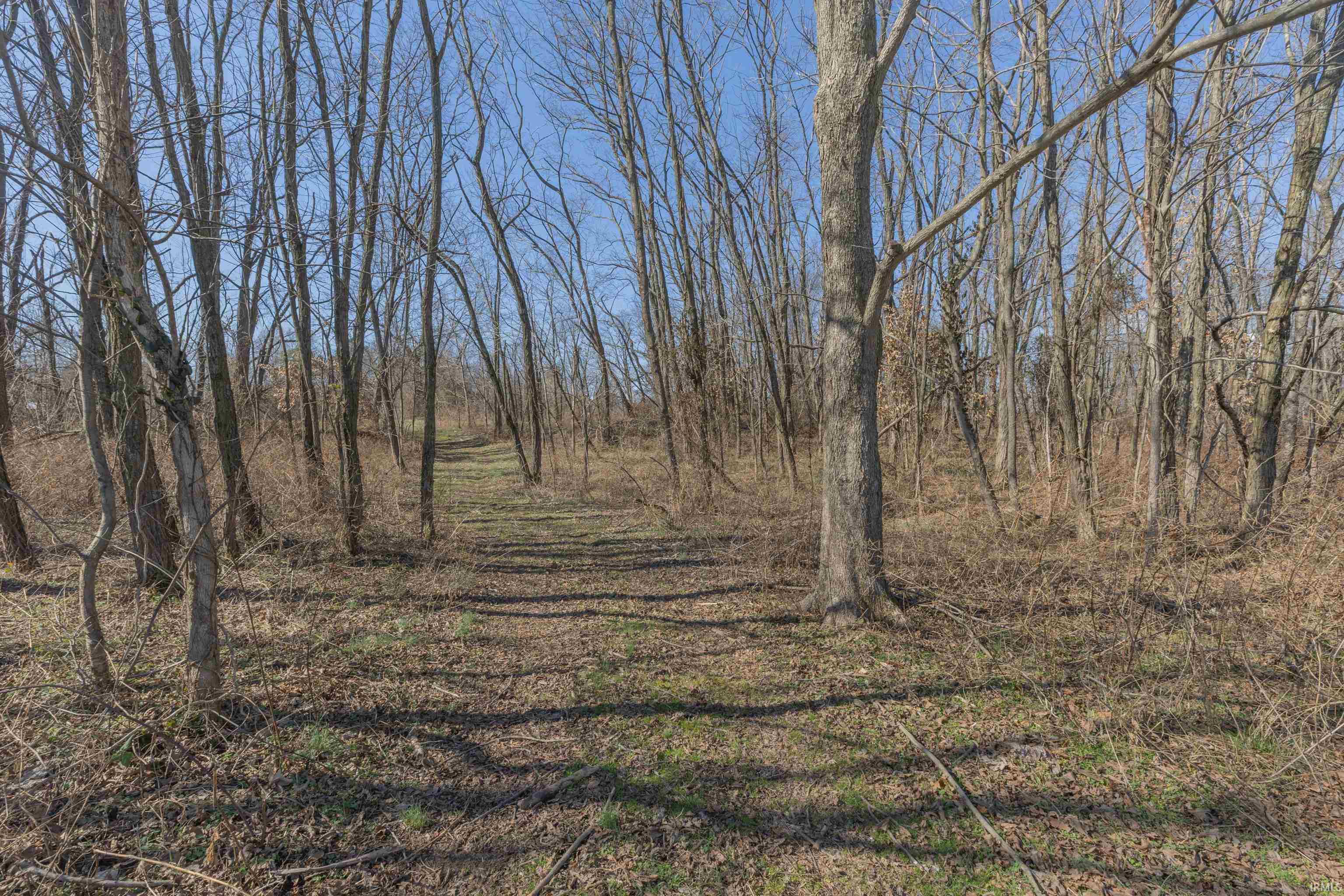 644 North Stevenson Station Road Chandler, IN 47610 - Photo 6 of 26