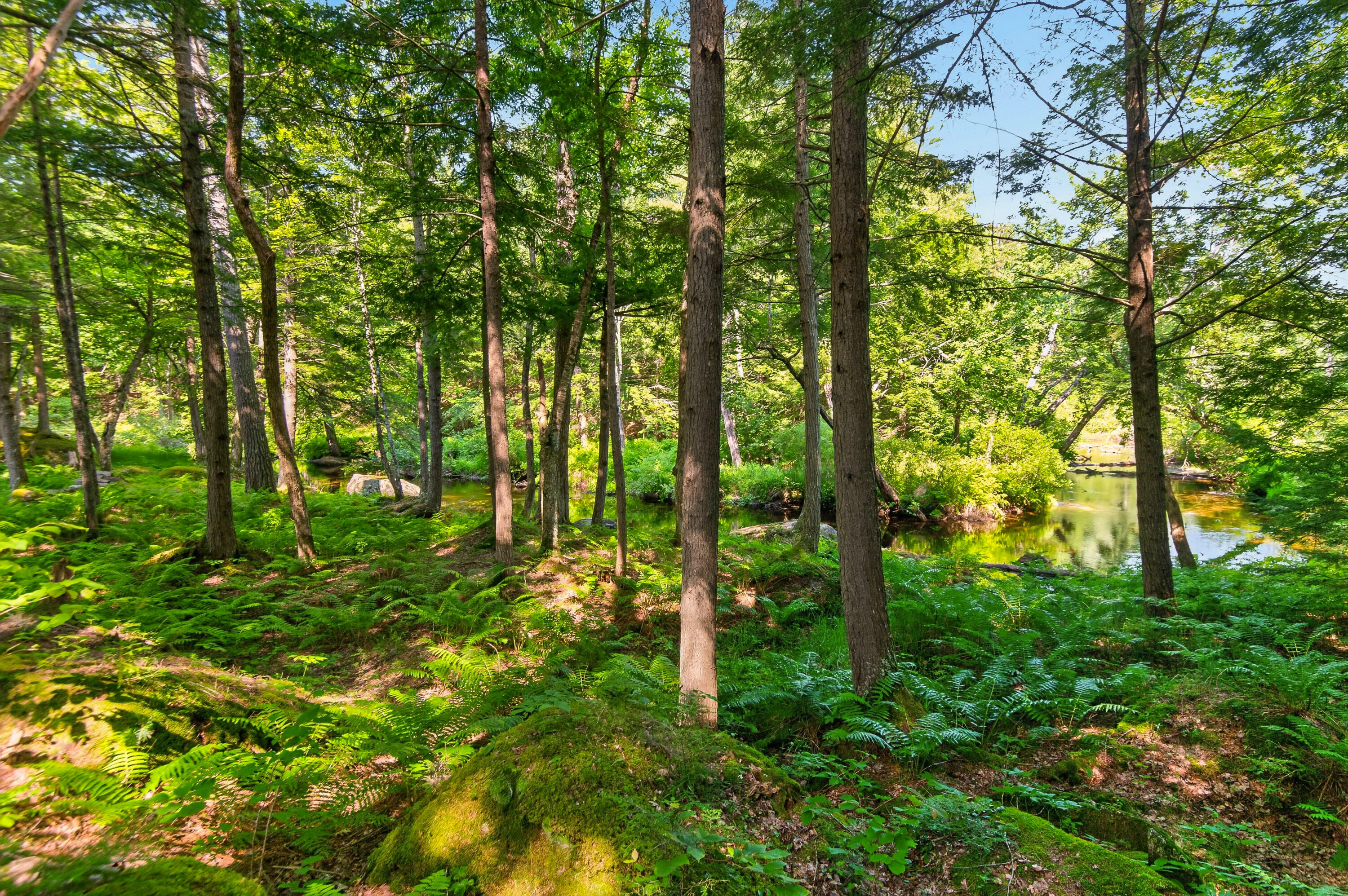 394 Waterford Road Bridgton, ME 04009 - Photo 4 of 49 20_394 Waterford Rd_MorneauStudios_Print